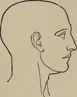 An illustration from Modelling; a guide for teachers and students (1902)