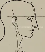 An illustration from Modelling; a guide for teachers and students (1902)