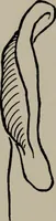 An illustration from Modelling; a guide for teachers and students (1902)