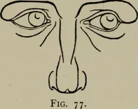 An illustration from Modelling; a guide for teachers and students (1902)