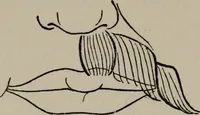 An illustration from Modelling; a guide for teachers and students (1902)