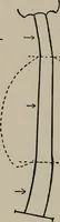 An illustration from Modelling; a guide for teachers and students (1902)