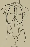 An illustration from Modelling; a guide for teachers and students (1902)