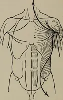 An illustration from Modelling; a guide for teachers and students (1902)
