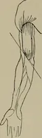 An illustration from Modelling; a guide for teachers and students (1902)