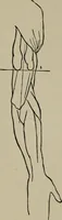 An illustration from Modelling; a guide for teachers and students (1902)