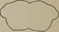 An illustration from Modelling; a guide for teachers and students (1902)