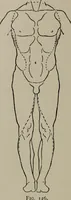 An illustration from Modelling; a guide for teachers and students (1902)