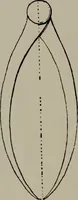An illustration from Modelling; a guide for teachers and students (1902)