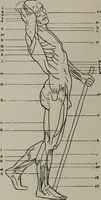 An illustration from Modelling; a guide for teachers and students (1902)