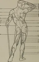 An illustration from Modelling; a guide for teachers and students (1902)