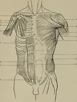 An illustration from Modelling; a guide for teachers and students (1902)