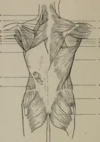 An illustration from Modelling; a guide for teachers and students (1902)
