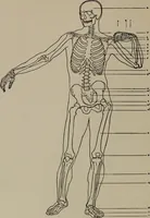 An illustration from Modelling; a guide for teachers and students (1902)