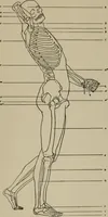 An illustration from Modelling; a guide for teachers and students (1902)