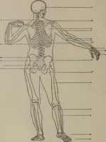 An illustration from Modelling; a guide for teachers and students (1902)