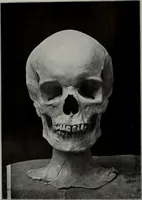 An illustration from Modelling; a guide for teachers and students (1902)