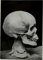An illustration from Modelling; a guide for teachers and students (1902)