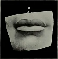An illustration from Modelling; a guide for teachers and students (1902)
