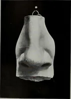 An illustration from Modelling; a guide for teachers and students (1902)