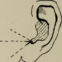 An illustration from Modelling; a guide for teachers and students (1902)