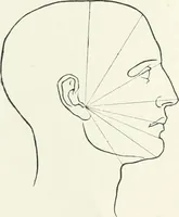 An illustration from Modelling : a guide for teachers and students (1902)