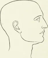 An illustration from Modelling : a guide for teachers and students (1902)