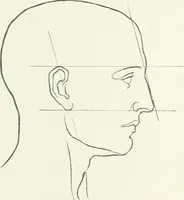 An illustration from Modelling : a guide for teachers and students (1902)