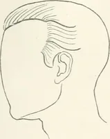 An illustration from Modelling : a guide for teachers and students (1902)
