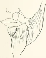 An illustration from Modelling : a guide for teachers and students (1902)
