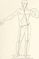 An illustration from Modelling : a guide for teachers and students (1902)