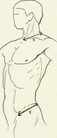 An illustration from Modelling : a guide for teachers and students (1902)
