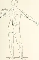 An illustration from Modelling : a guide for teachers and students (1902)