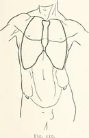 An illustration from Modelling : a guide for teachers and students (1902)