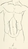 An illustration from Modelling : a guide for teachers and students (1902)