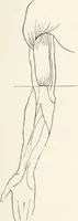 An illustration from Modelling : a guide for teachers and students (1902)