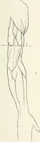 An illustration from Modelling : a guide for teachers and students (1902)