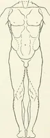 An illustration from Modelling : a guide for teachers and students (1902)