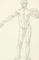 An illustration from Modelling : a guide for teachers and students (1902)