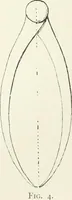 An illustration from Modelling : a guide for teachers and students (1902)