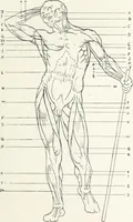 An illustration from Modelling : a guide for teachers and students (1902)