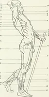An illustration from Modelling : a guide for teachers and students (1902)