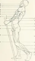 An illustration from Modelling : a guide for teachers and students (1902)