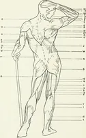 An illustration from Modelling : a guide for teachers and students (1902)