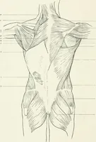 An illustration from Modelling : a guide for teachers and students (1902)