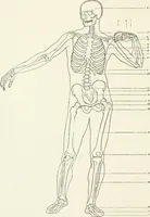 An illustration from Modelling : a guide for teachers and students (1902)