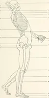 An illustration from Modelling : a guide for teachers and students (1902)