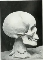 An illustration from Modelling : a guide for teachers and students (1902)