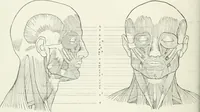An illustration from Modelling : a guide for teachers and students (1902)