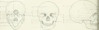 An illustration from Modelling : a guide for teachers and students (1902)
